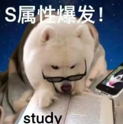 如何零基础自学托福？